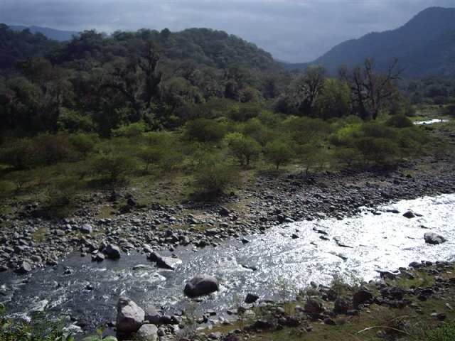 Monteros - La Merced - Escoba 1