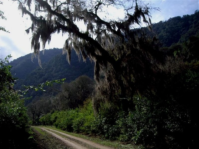 Monteros - La Merced - Escoba
